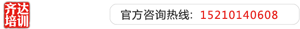 大鸡吧黄色网址齐达艺考文化课-艺术生文化课,艺术类文化课,艺考生文化课logo